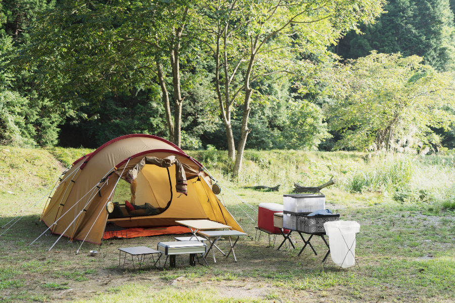 Camping site with a tent and tables in New Zealand native bush—quiet campsite setting.